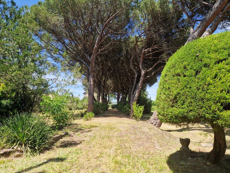 Maison bourgeoise - 290 m² - 12 pièces