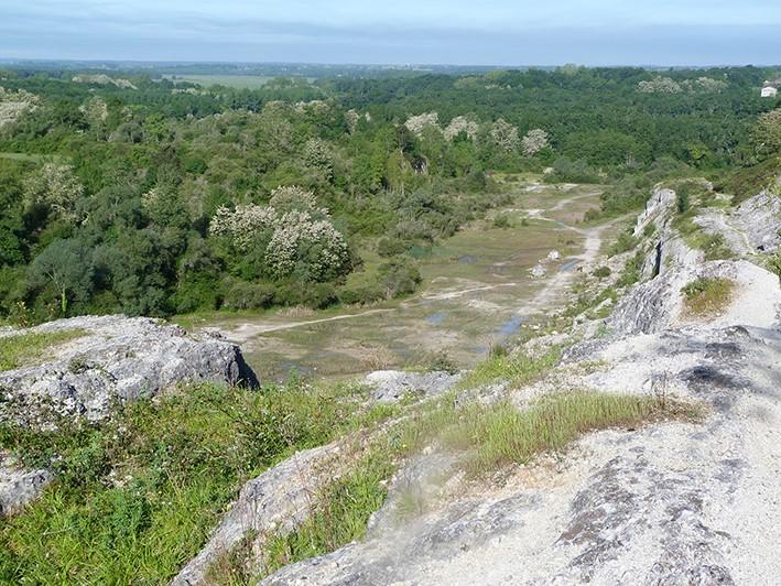Sortie nature : les amphibiens de la Réserve naturelle