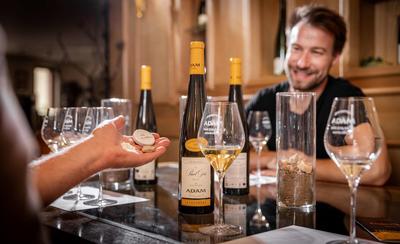 Parenthèse Vigneronne : la Biodynamie et l'expression sur le Grand Cru Kaefferkopf