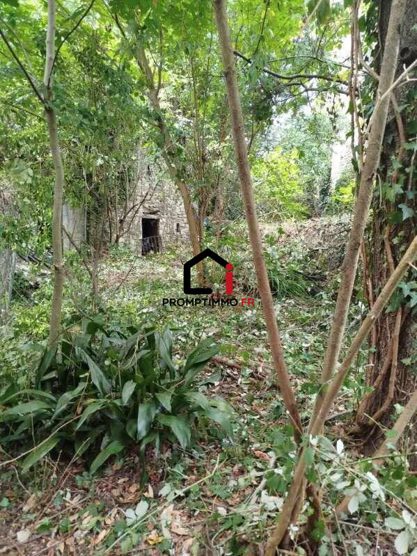 Terrain agricole - 500 m²