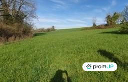 Terrain - 16 000 m²