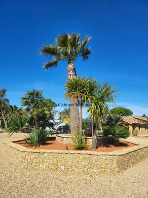 Mas - 150 m² - 6 pièces