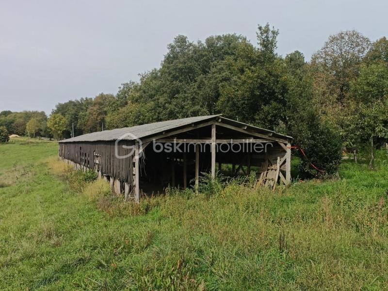 Corps de ferme - 124 m² - 5 pièces