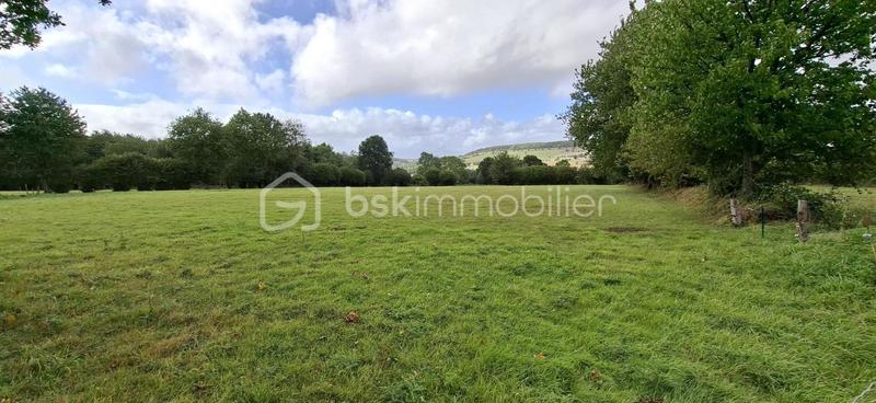 Maison en pierre - 158 m² - 7 pièces