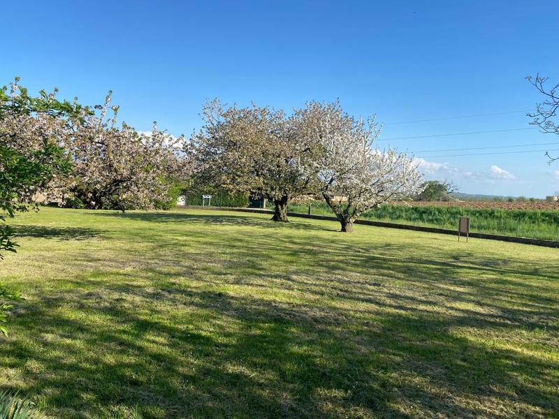 Maison de maîtres - 221 m² - 8 pièces