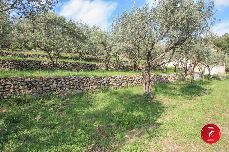 Villa - 79 m² - 3 pièces