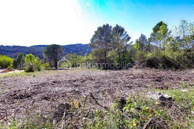 Terrain - 2 920 m²