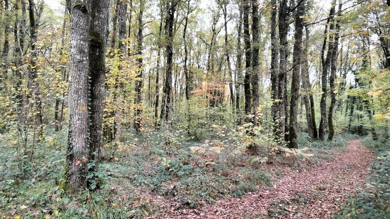 Terrain - 18 490 m²