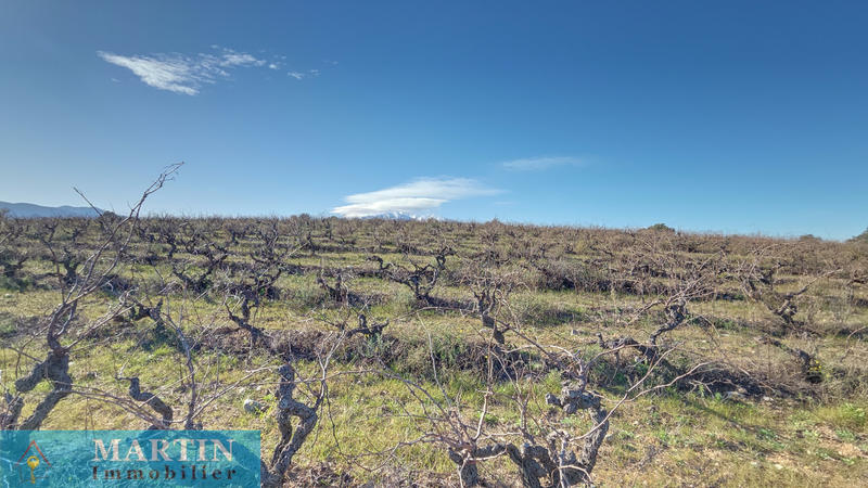 Mas - 58 m² - 3 pièces