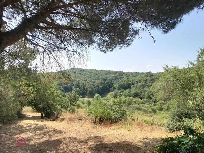 Propriété - 360 m² - 10 pièces