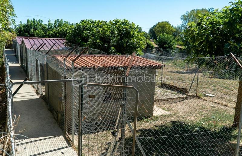 Corps de ferme - 81 m² - 2 pièces