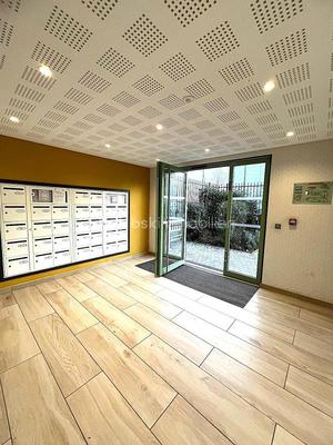 Studio - 29 m² - 1 pièce