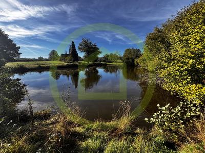 Propriété - 125 m² - 9 pièces