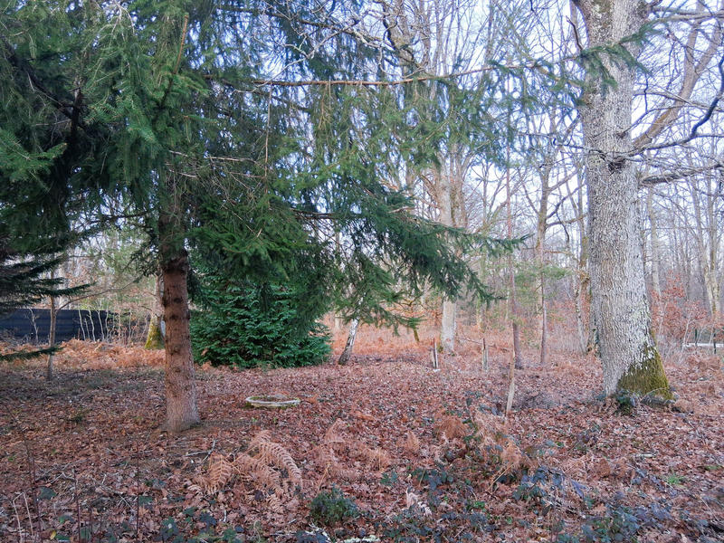 Maison - 64 m² - 4 pièces