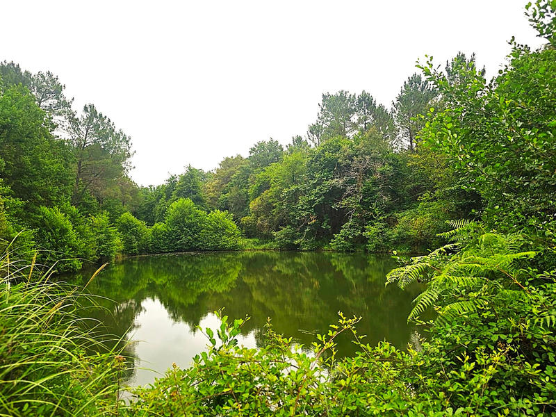 Maison - 220 m² - 7 pièces