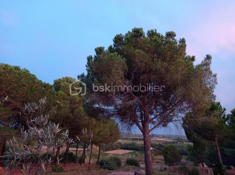 Villa - 150 m² - 6 pièces