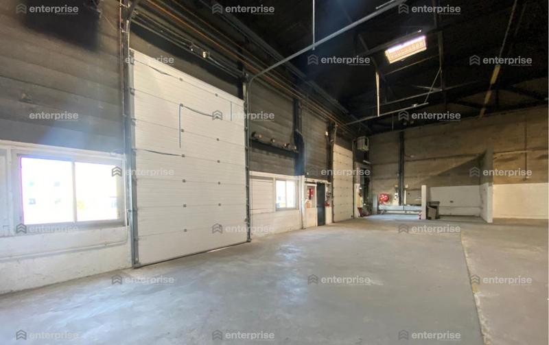 Local d'activité / Entrepôt - 913 m²