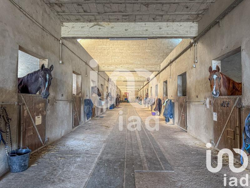 Maison - 221 m² - 7 pièces