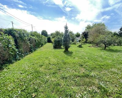 Terrain agricole - 800 m²