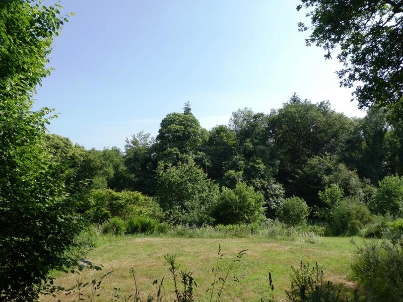 Maison en pierre - 170 m² - 5 pièces