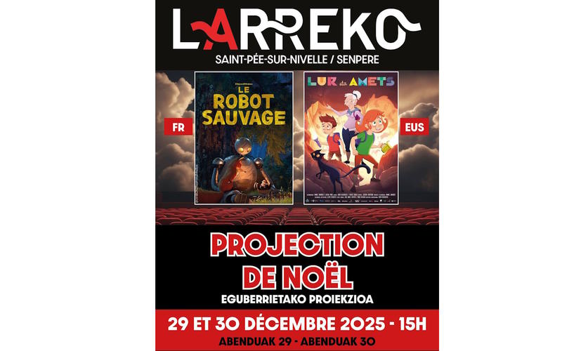 4ème édition du cinéma de Noël : le Robot Sauvage