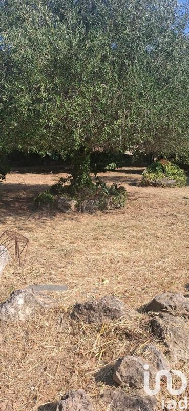 Maison de campagne - 150 m² - 5 pièces