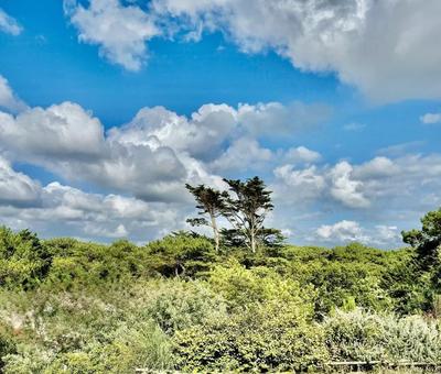 Appartement - 188 m² - 5 pièces