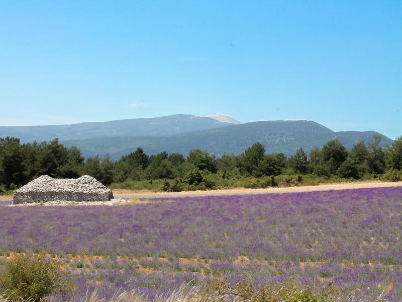 Appartement - 22 m² - 1 pièce