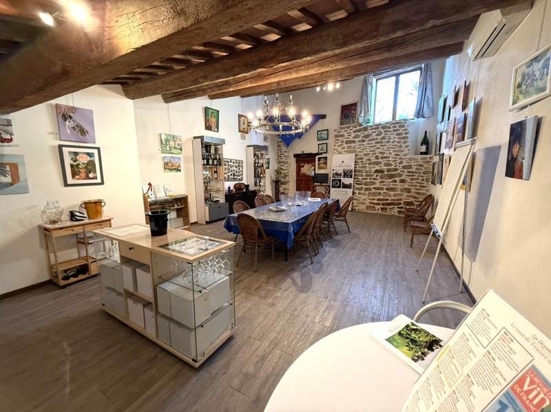 Propriété - 270 m² - 7 pièces