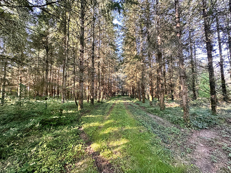 Terrain de loisirs - 23 143 m²