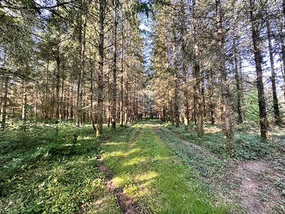 Terrain de loisirs - 23 143 m²