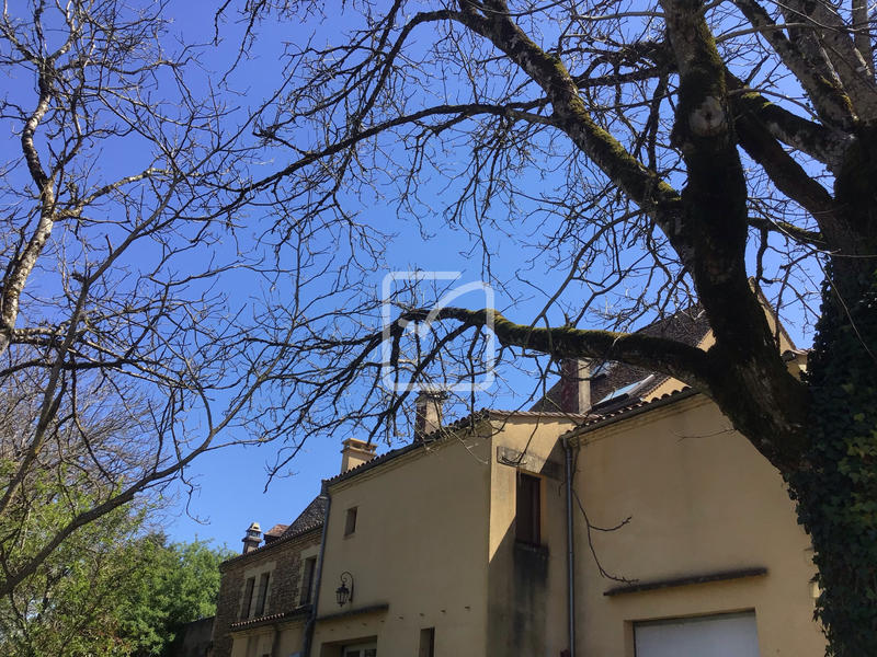 Maison - 1 481 m² - 65 pièces