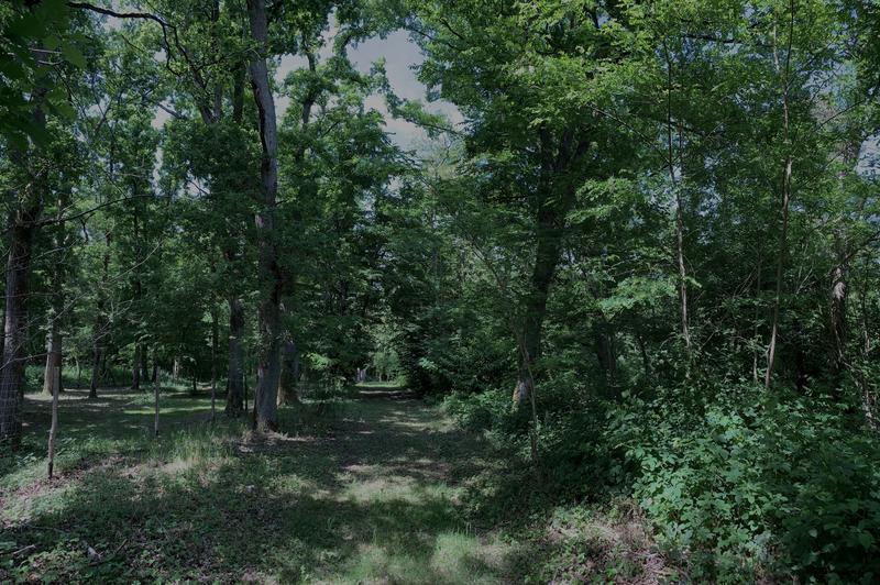 Villa - 85 m² - 4 pièces