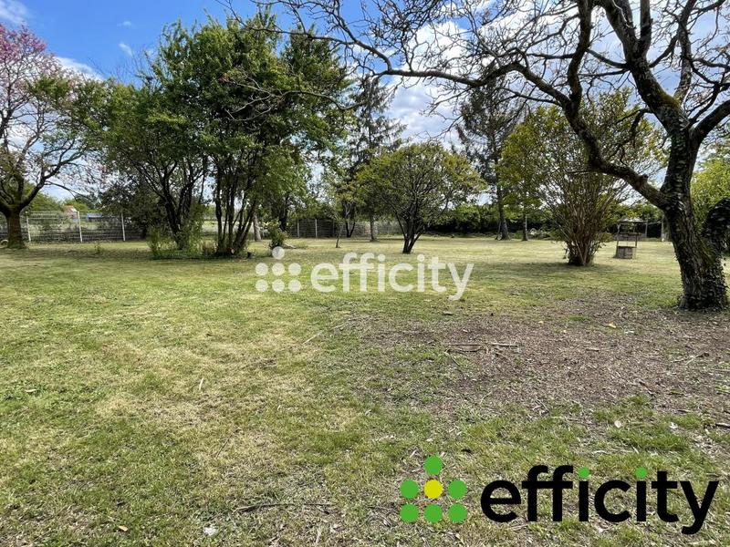 Maison - 179 m² - 5 pièces