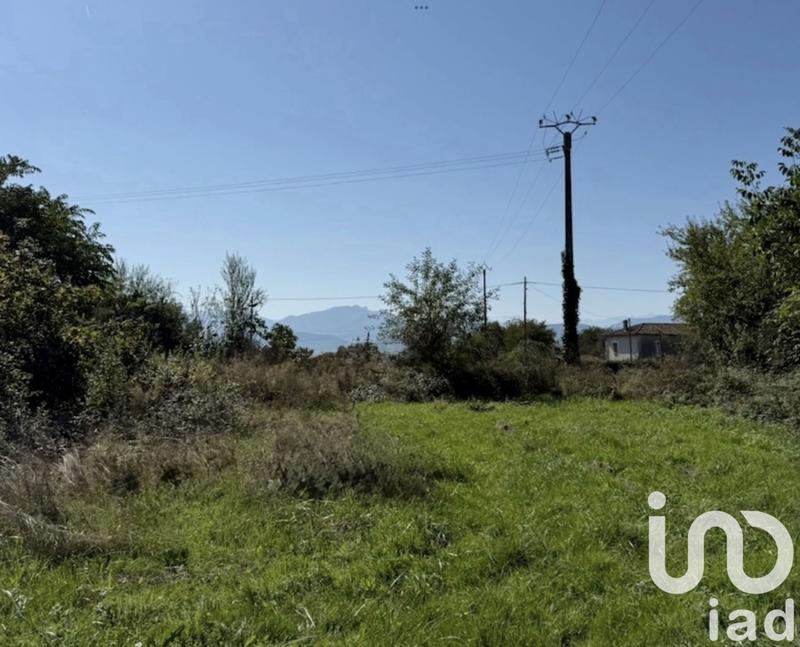 Terrain - 2 933 m²