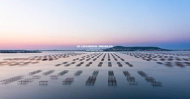 Viager - Mas - 170 m² - 5 pièces