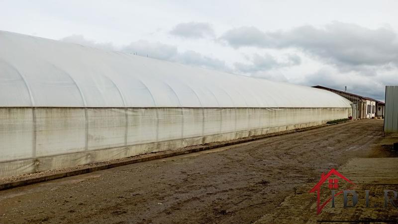 Local d'activité / Entrepôt - 80 000 m²