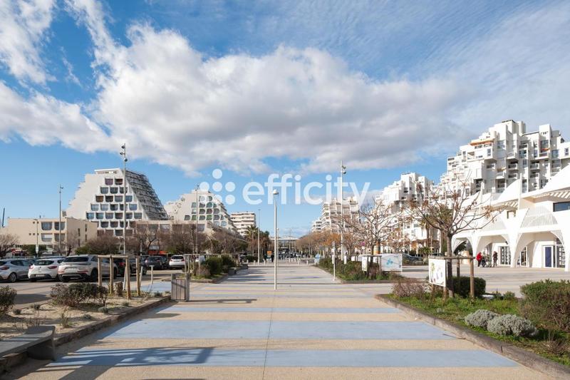 Studio - 25 m² - 1 pièce