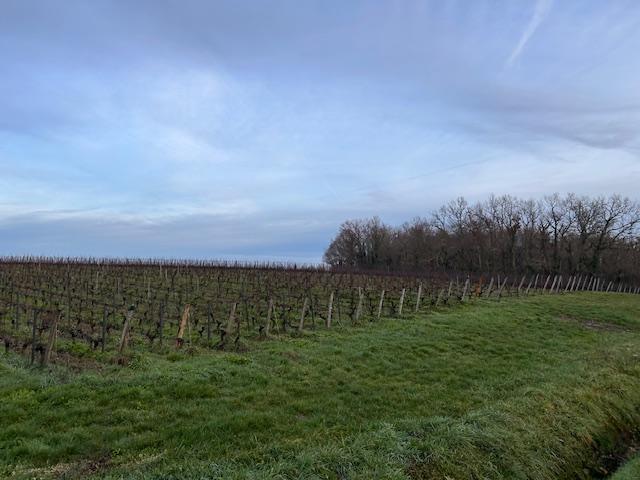 Terrain constructible - 551 m²