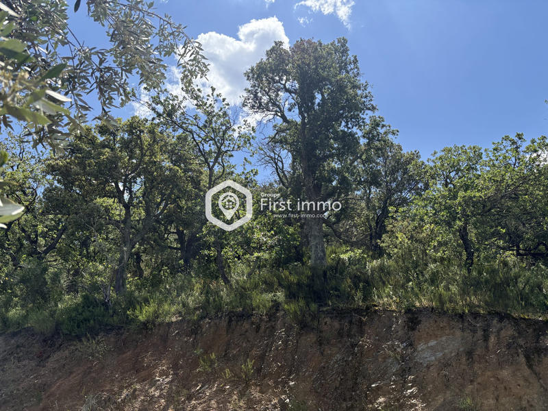 Terrain de loisirs - 6 835 m²