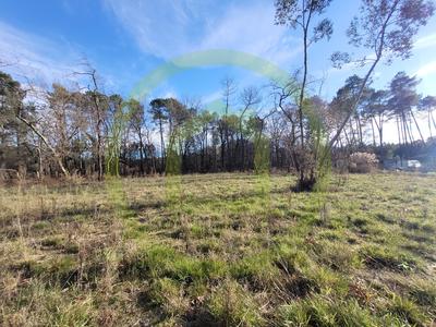 Terrain constructible - 879 m²