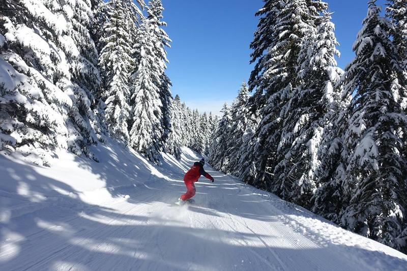 Appartement - 31 m² - 2 pièces