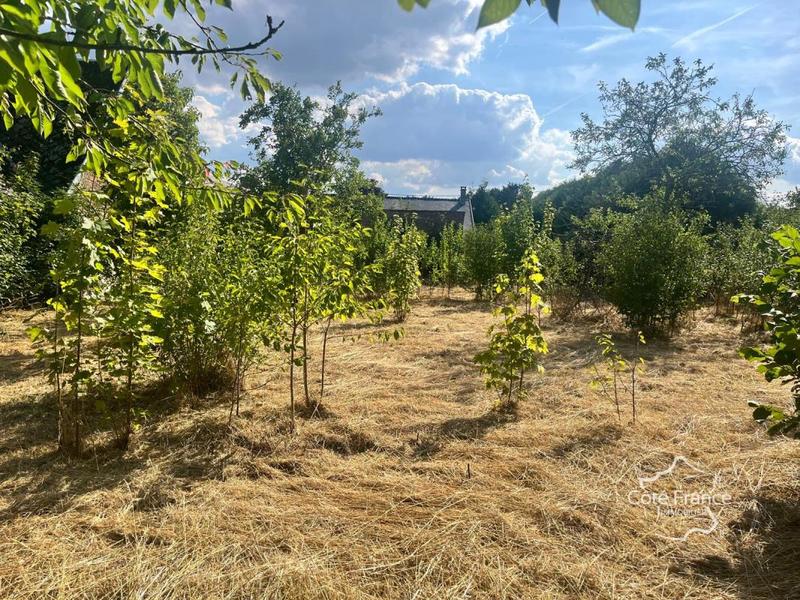 Maison de village - 80 m² - 3 pièces