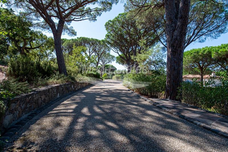 Propriété - 438 m² - 18 pièces