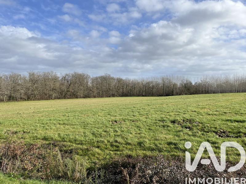 Terrain agricole - 132 080 m²