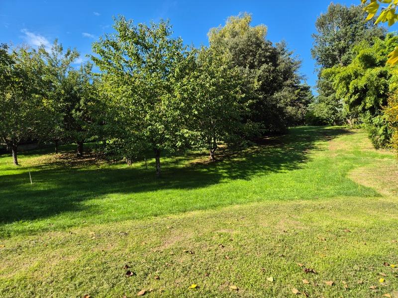 Terrain constructible - 3 000 m²