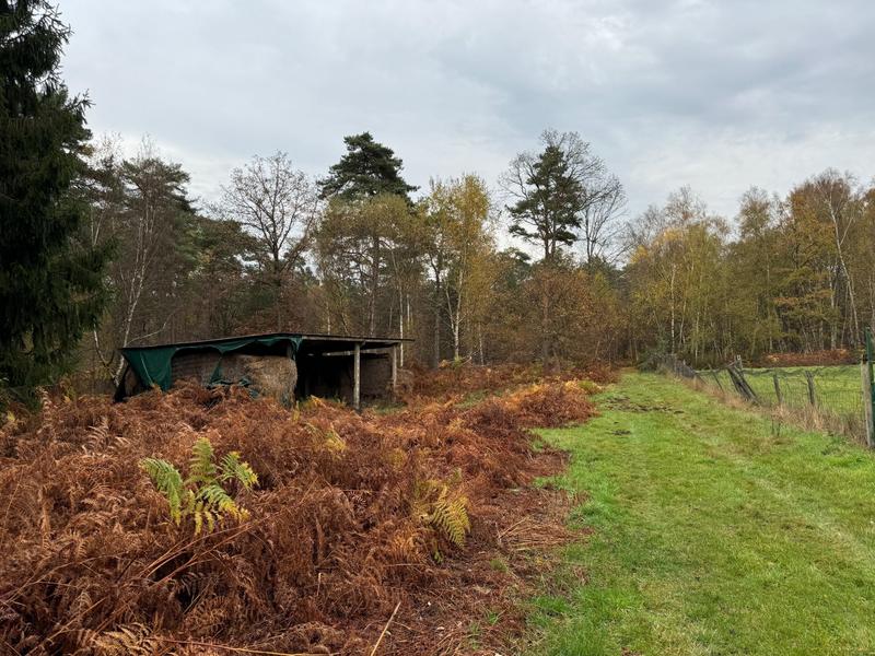 Maison - 116 m² - 4 pièces