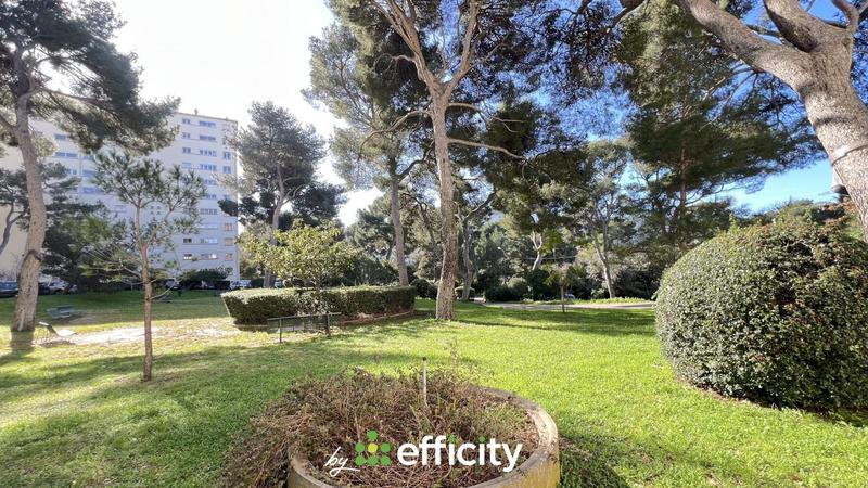 Appartement - 50 m² - 2 pièces