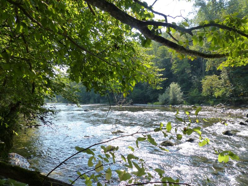 Ferme - 400 m² - 18 pièces