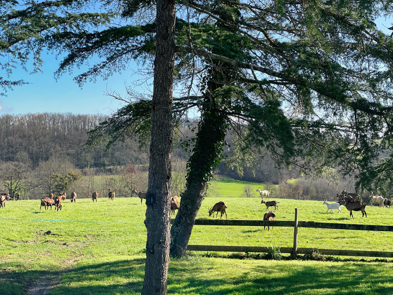 Maison - 235 m² - 9 pièces